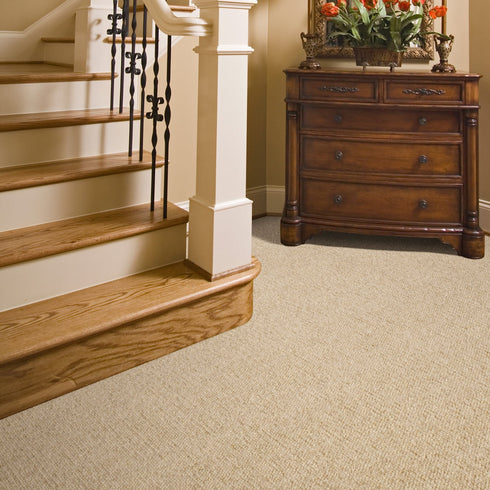 Riviera Home - Delamare