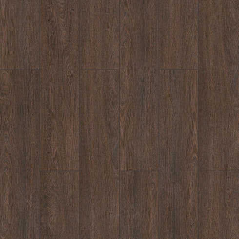 Sunex - Floorpan (8mm)