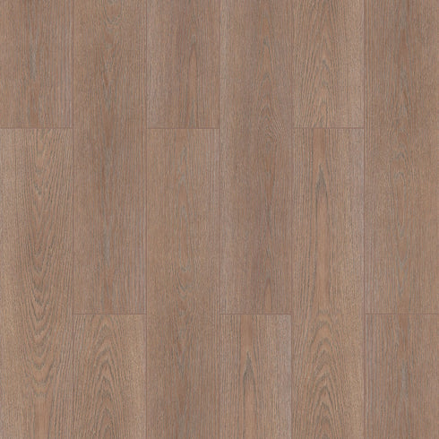 Sunex - Floorpan (8mm)