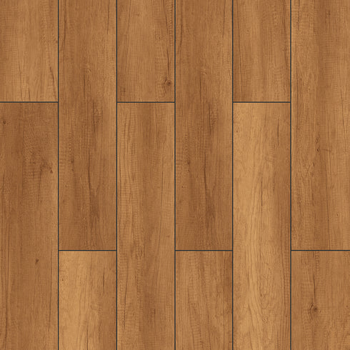 Sunex - Floorpan (8mm)