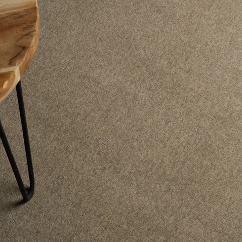 ITC Eco-Velvet carpet enhancing a modern minimalist room with a sophisticated and luxurious ambiance.